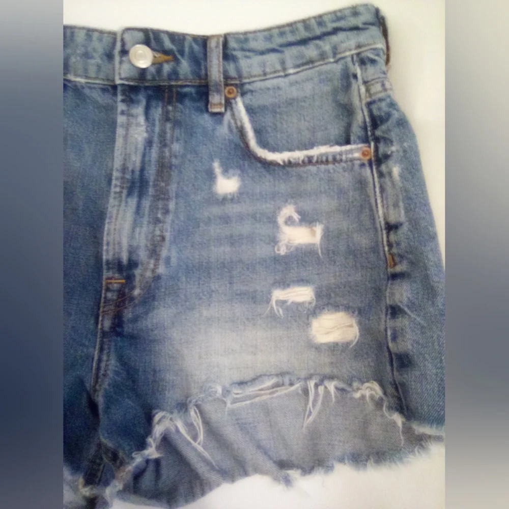 Zara The HW Short Size 4 Distressed Casual Summer Vacation